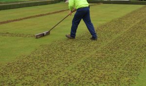 brushing cores