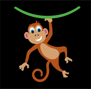 thermal markings monkey